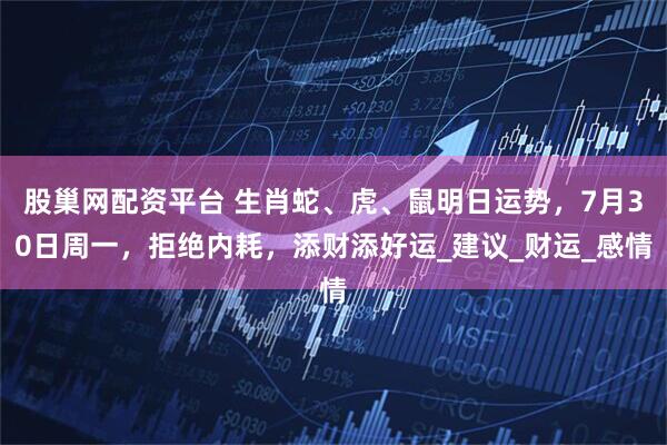 股巢网配资平台 生肖蛇、虎、鼠明日运势，7月30日周一，拒绝内耗，添财添好运_建议_财运_感情