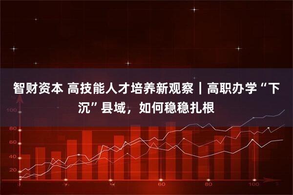 智财资本 高技能人才培养新观察｜高职办学“下沉”县域，如何稳稳扎根